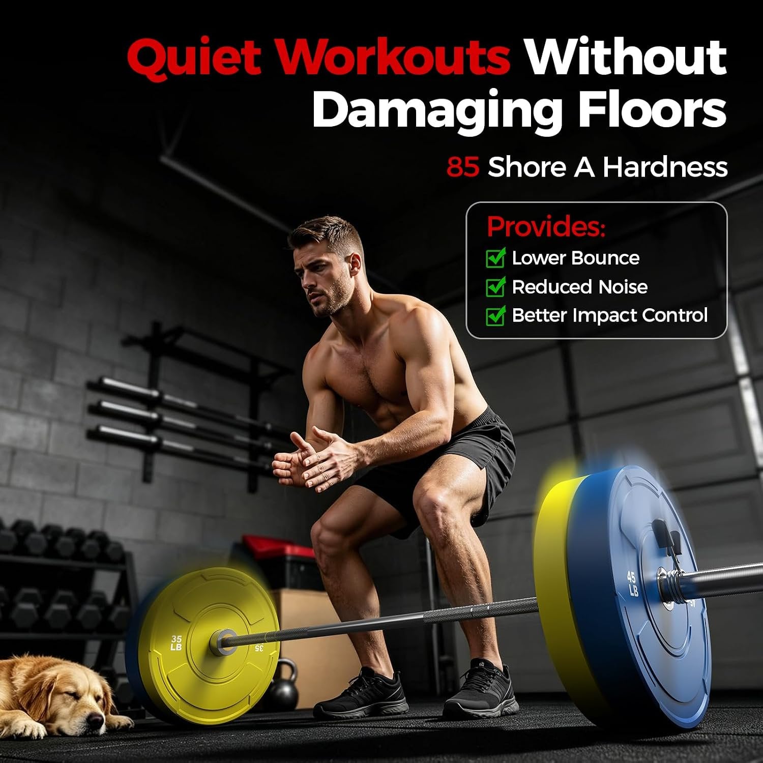 2-Inch Olympic Bumper Plates Set, 2pcs-5lb Colored Virgin Rubber Weight Barbell Plates for Strength Training, Home Gym Weightlifting